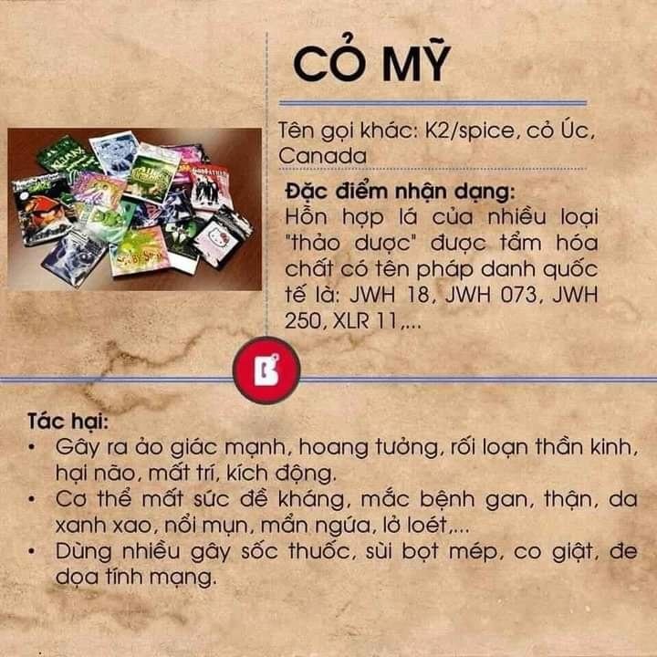 Cỏ Mỹ - 1 trong các chất gây kích thích hệ thần kinh