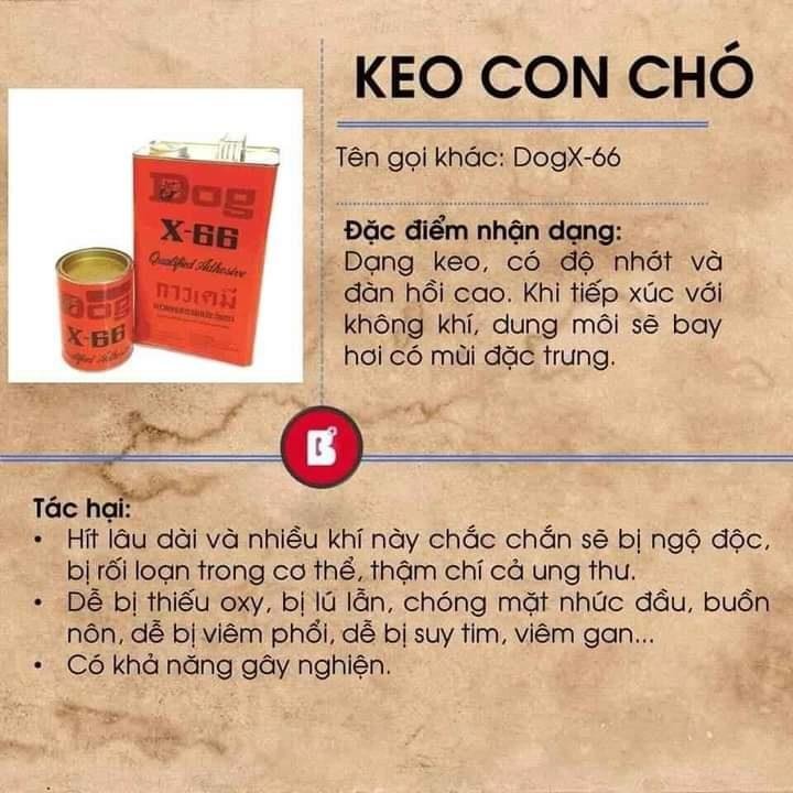 Keo con chó - 1 trong các chất gây kích thích hệ thần kinh