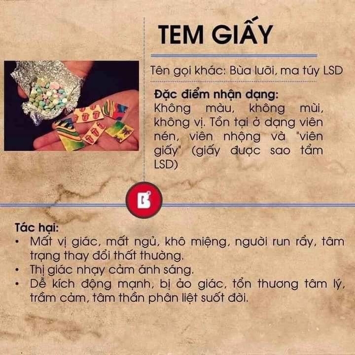 Tem giấy - 1 trong các chất gây kích thích hệ thần kinh
